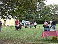 img 017